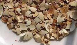 鸡蛋壳最新爆料,揭秘行业背后惊人真相