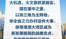大湾区最新闻爆料热线,新闻热线揭露最新动态！”