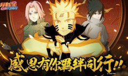 火影七夕活动最新爆料2024,揭秘全新爆料，精彩内容抢先看！