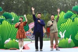 王庄最新爆料新闻事件视频,揭秘事件背后惊人真相