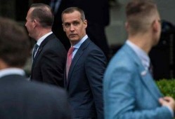 白宫顾问最新爆料,揭秘总统决策背后的真相