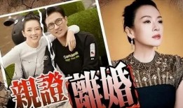 刘大锤最新爆料一览视频,揭秘娱乐圈幕后真相