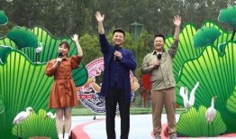 亳州酸菜爆料事件视频最新,真相与争议交织