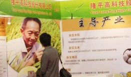 隆平高科最新爆料,农业科技新突破与未来展望