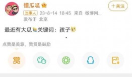 懂瓜呱最新爆料,懂瓜呱最新爆料，带你直击明星幕后真相