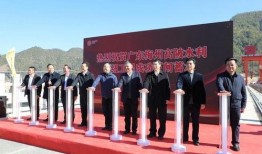大埔记者爆料新闻网最新,最新热点事件深度解析