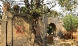 石家庄高邑爆料事件最新,揭秘石家庄最新社会热点背后的真相