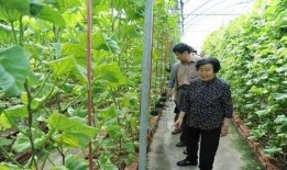 襄阳吃瓜最新事件爆料是真的吗,真相揭秘还是无端猜测？