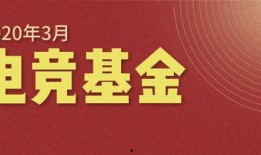 最新动态爆料网站,揭秘网站爆料背后的真相与影响