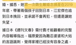 文春爆料预测最新消息,最新消息抢先看，揭秘娱乐圈最新动态！