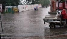 石家庄高邑最新爆料,揭秘石家庄高邑最新爆料背后的故事