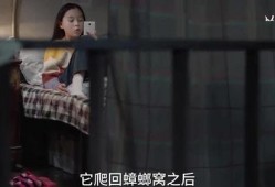 晨熙姐姐爆料视频大全最新,揭秘娱乐圈幕后真相