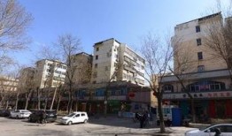 石家庄高邑最新爆料,揭秘石家庄高邑最新爆料背后的故事