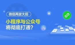 最新爆料营小程序,最新爆料带你领略科技魅力